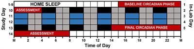 The forbidden zone for sleep is more robust in adolescents compared to adults